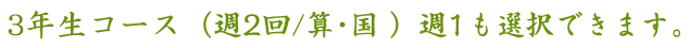 3年生コース（週2回/算･国）